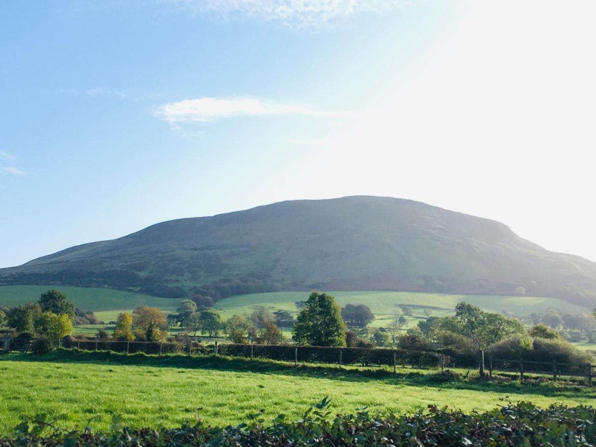 Benbradagh Barn Villa Dungiven Exterior foto